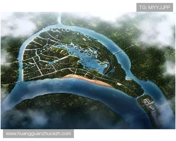 皇冠旗舰平台的成功案例分享，启发企业实现跨越式发展