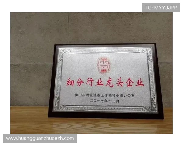 皇冠控股集团有限公司关于企业社会责任的履行方式及其在行业中的标杆作用 皇冠控股集团有限公司关于企业社会责任的履行方式及其在行业中的标杆作用